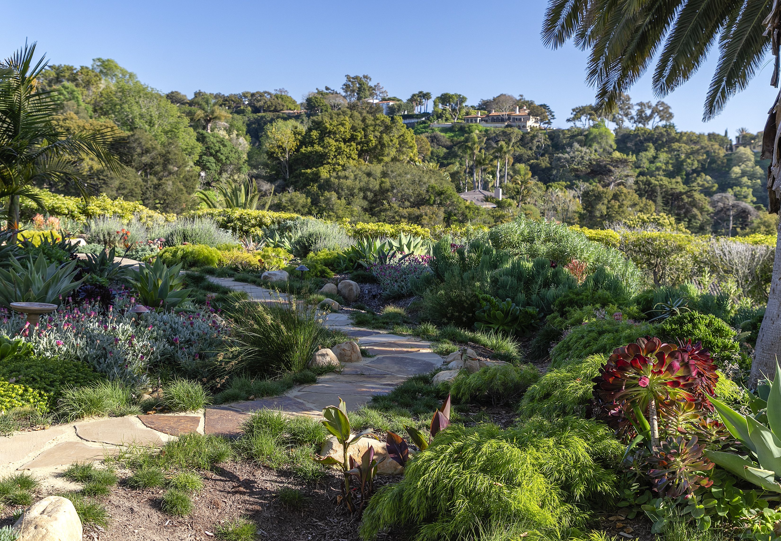 pathway through garden